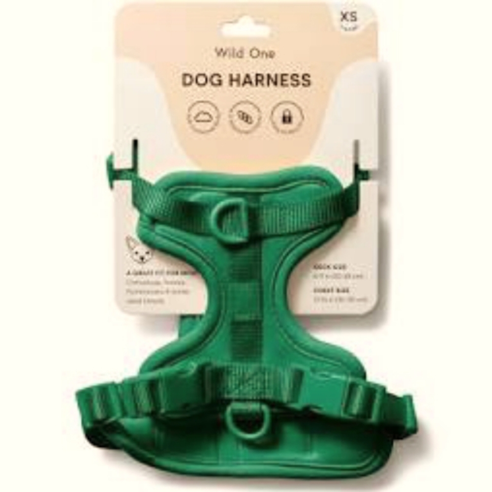 WILD ONE HARNESS